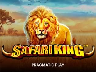 Safari King icon