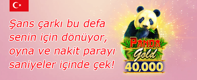 Popüler Slotlarda Bedava Spin promotion