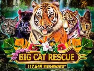 Big Cat Rescue Megaways icon